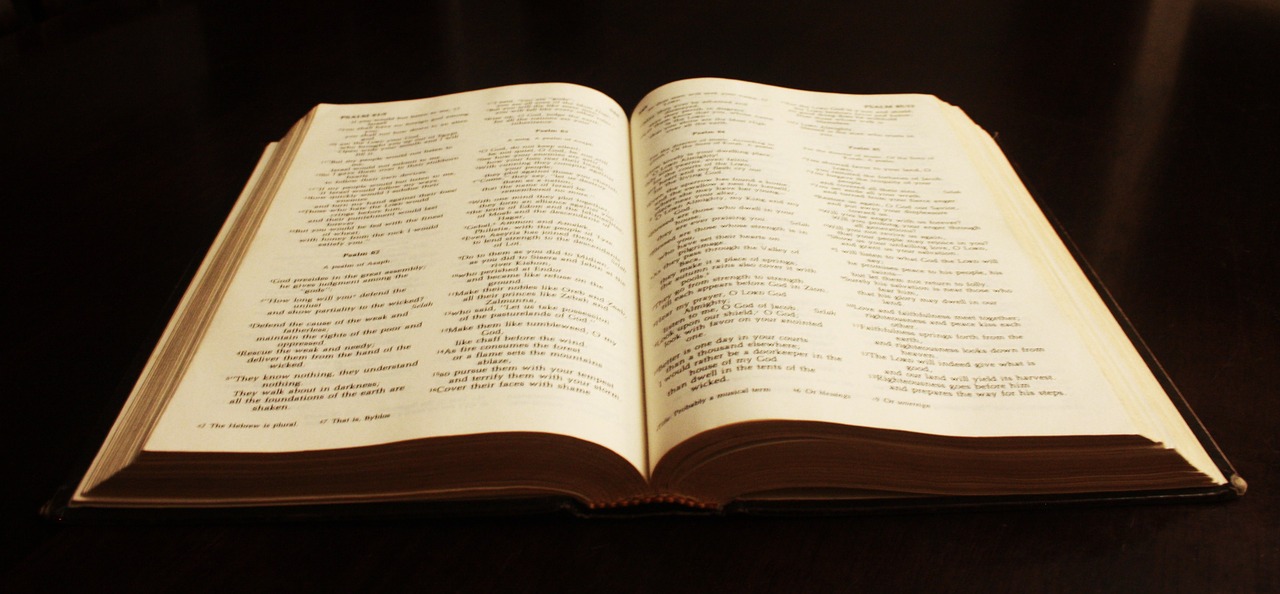 book, bible, text-2073022.jpg