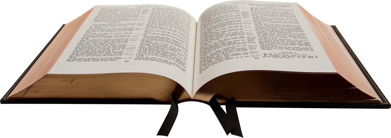 bible, book, christian-1108074.jpg